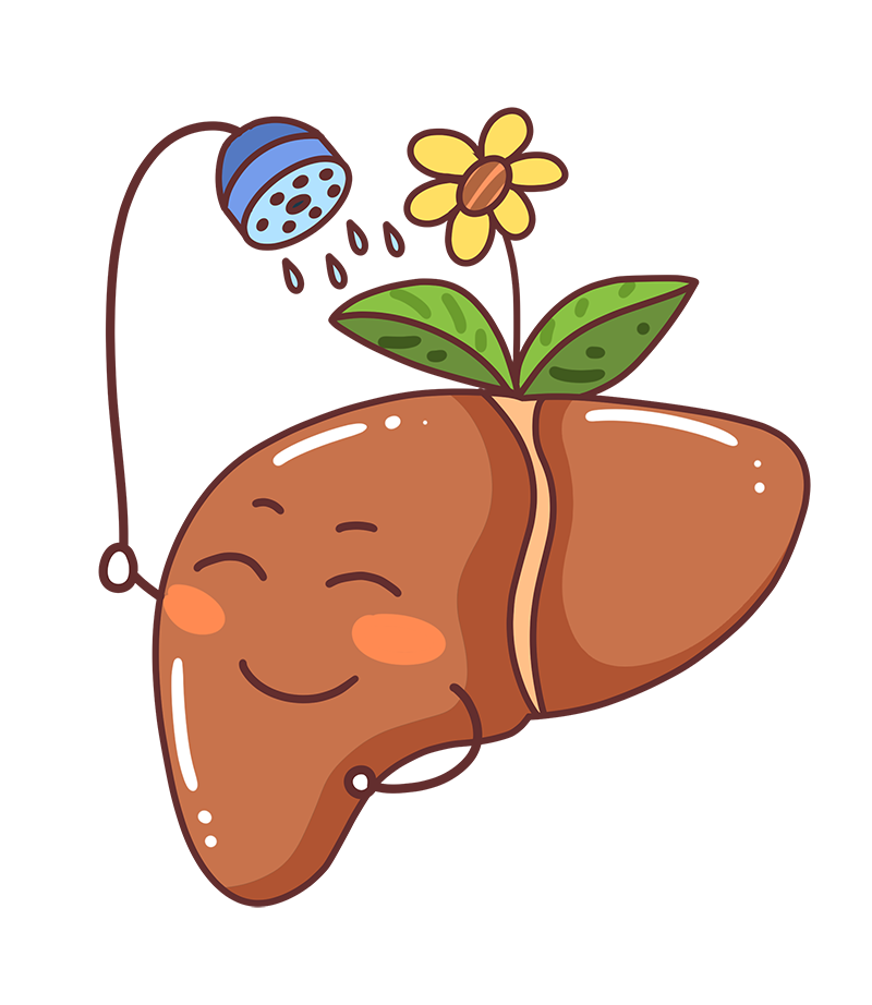 包圖網(wǎng)_19505142肝炎日愛肝護肝預(yù)防肝炎.png